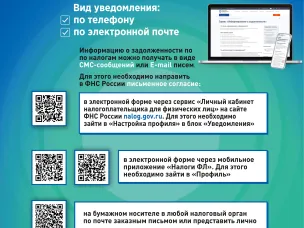 Информация о возможности получения услуги по информированию о наличии задолженности по налогам, пеням, штрафам, процентам